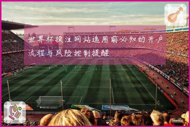世界杯投注网站选用前必知的开户流程与风险控制提醒