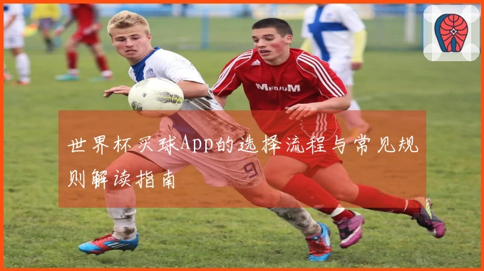 世界杯买球App的选择流程与常见规则解读指南